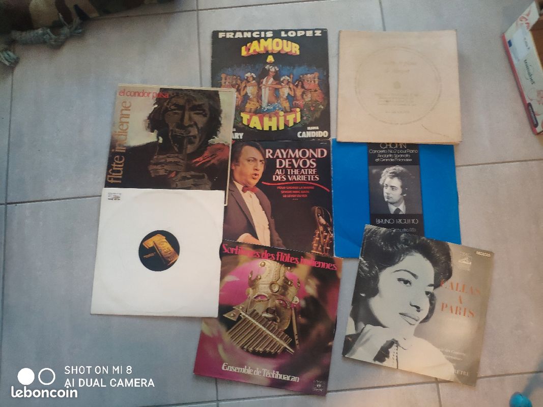 Lot vinyl divers (Lopez, Devos, flûte) (image 1)