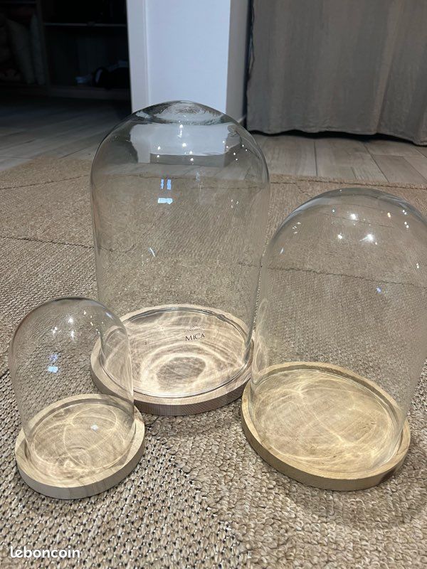 Cloche en verre (image 1)