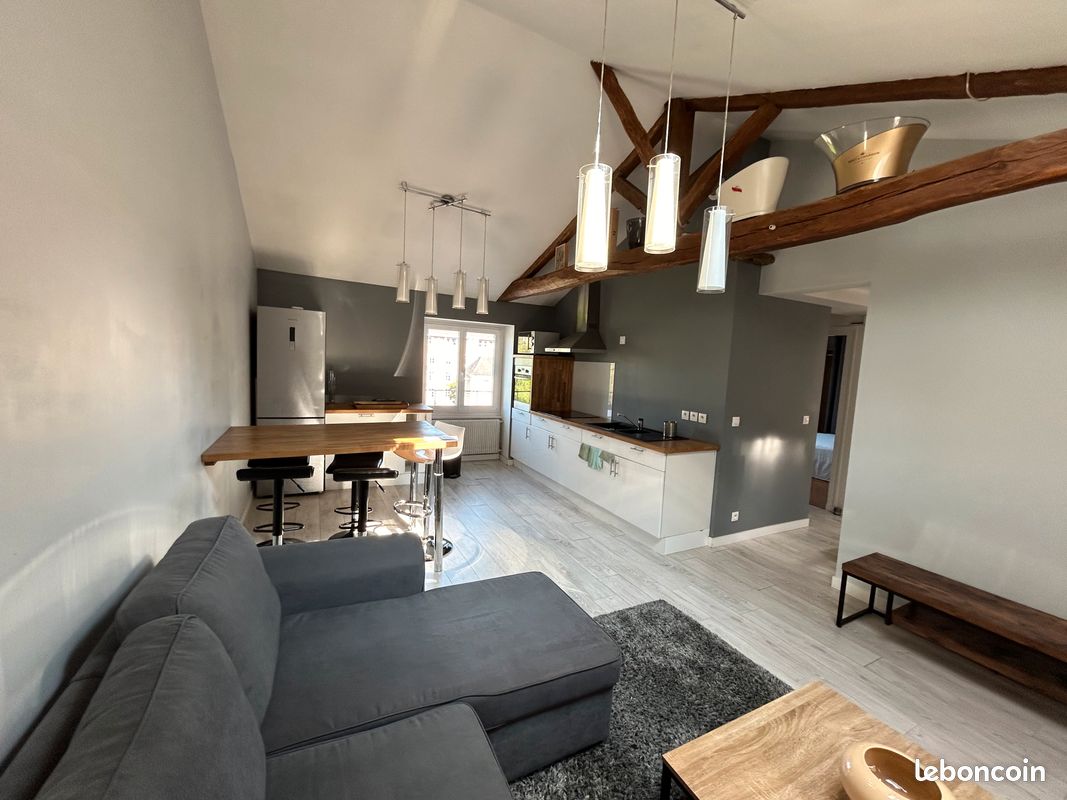Appartement T3 52m2 meublé Poitiers centre - Poitiers 86000 (image principale 0)