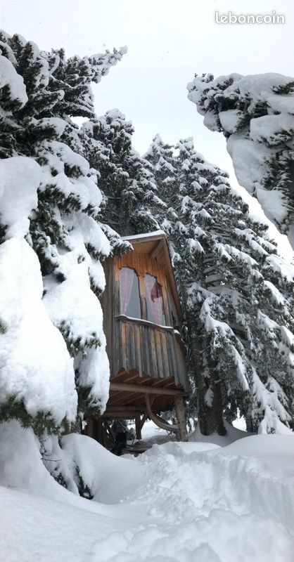 Cabane perchée au milieu de la forêt (image 10)