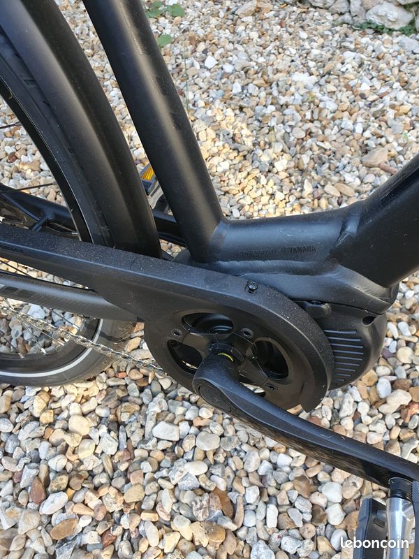 Vtc femme electrique (image 4)