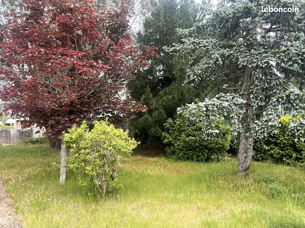 Maison a louer saint-sebastien-sur-loire - 4 pièce(s) - 97 m2 - Surfyn