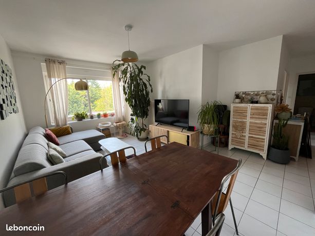 Appartement t3