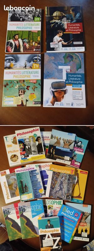 Cours particuliers en Philosophie/HLP et coaching scolaire (image 2)