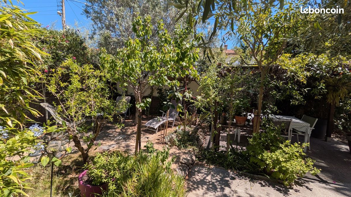 Appartement lumineux avec jardin à Perpignan - 66 (image 12)