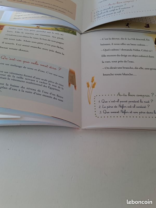 Lot de 3 livres Je lis comme un grand ́ Fleurus ' (image 2)