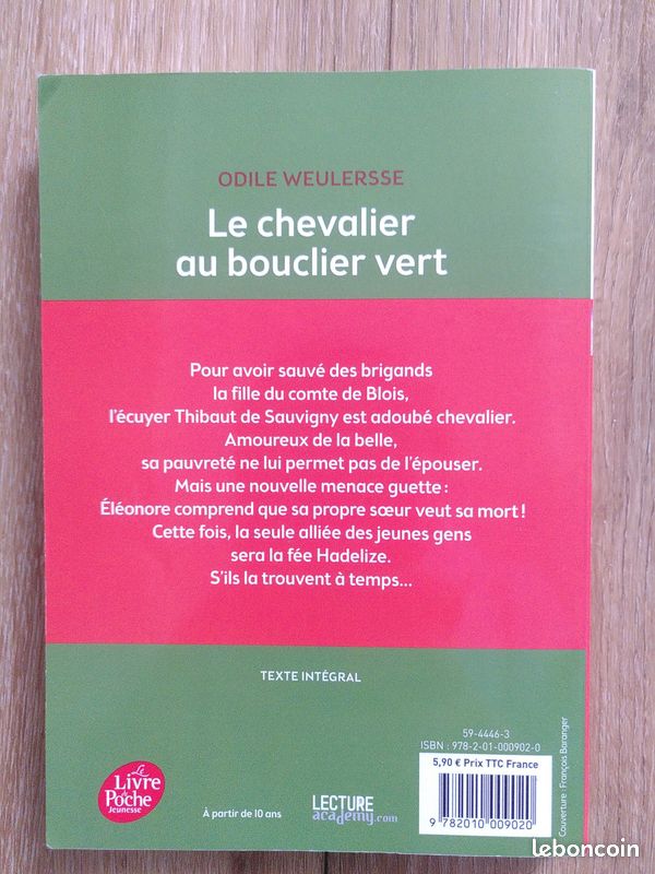 Le chevalier au bouclier vert (image 2)
