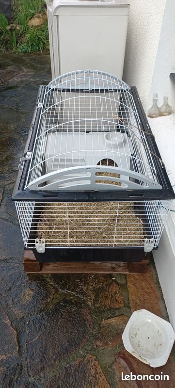 Cage (image 1)