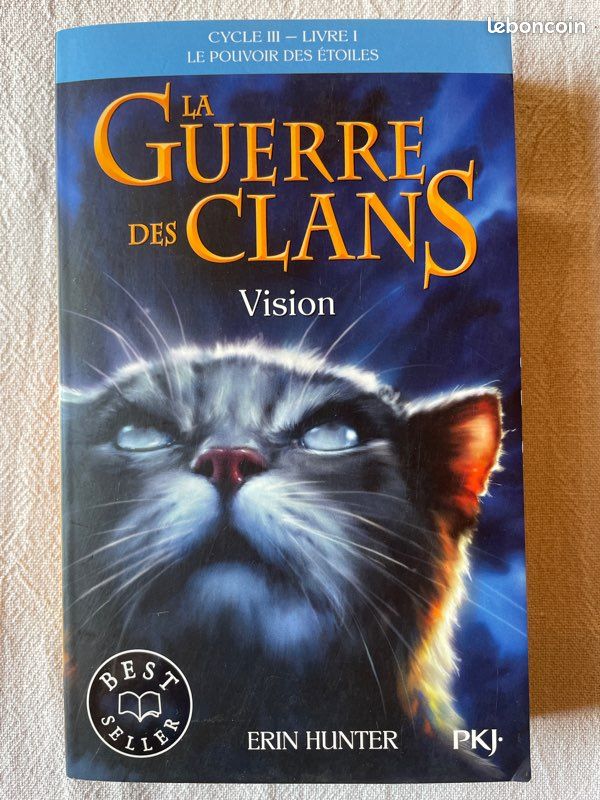 La guerre des clans - Cycle 3 - Livre 1 : Vision (image 2)