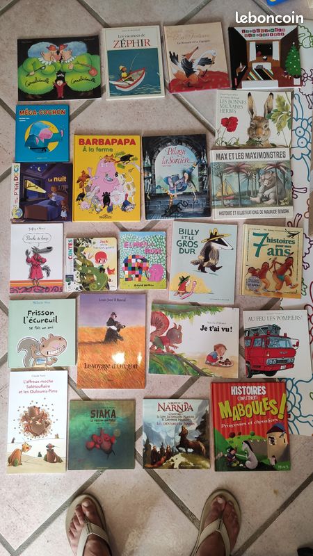 Lot 23 livres enfants (image 1)
