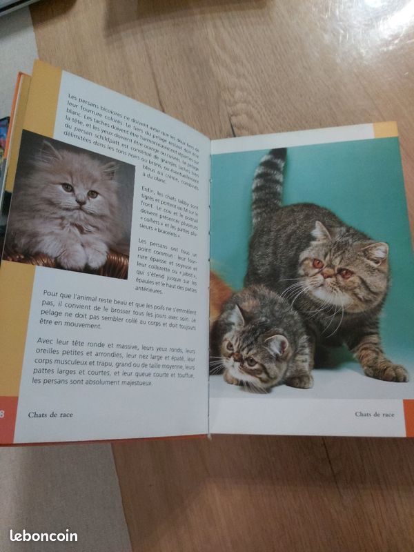 Livre les chats (image 5)