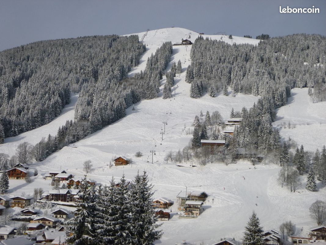 Les gets loue chalet 9 pers HIVER (image 8)