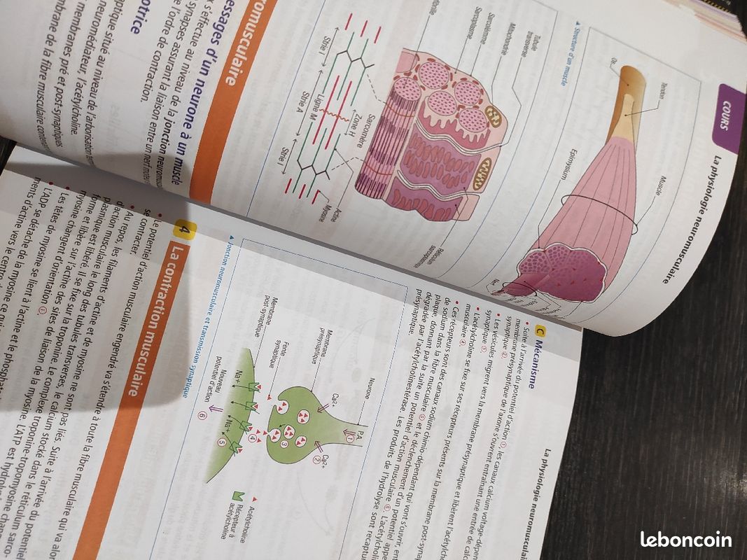 Objectif bac 1ere ST2S (image 4)