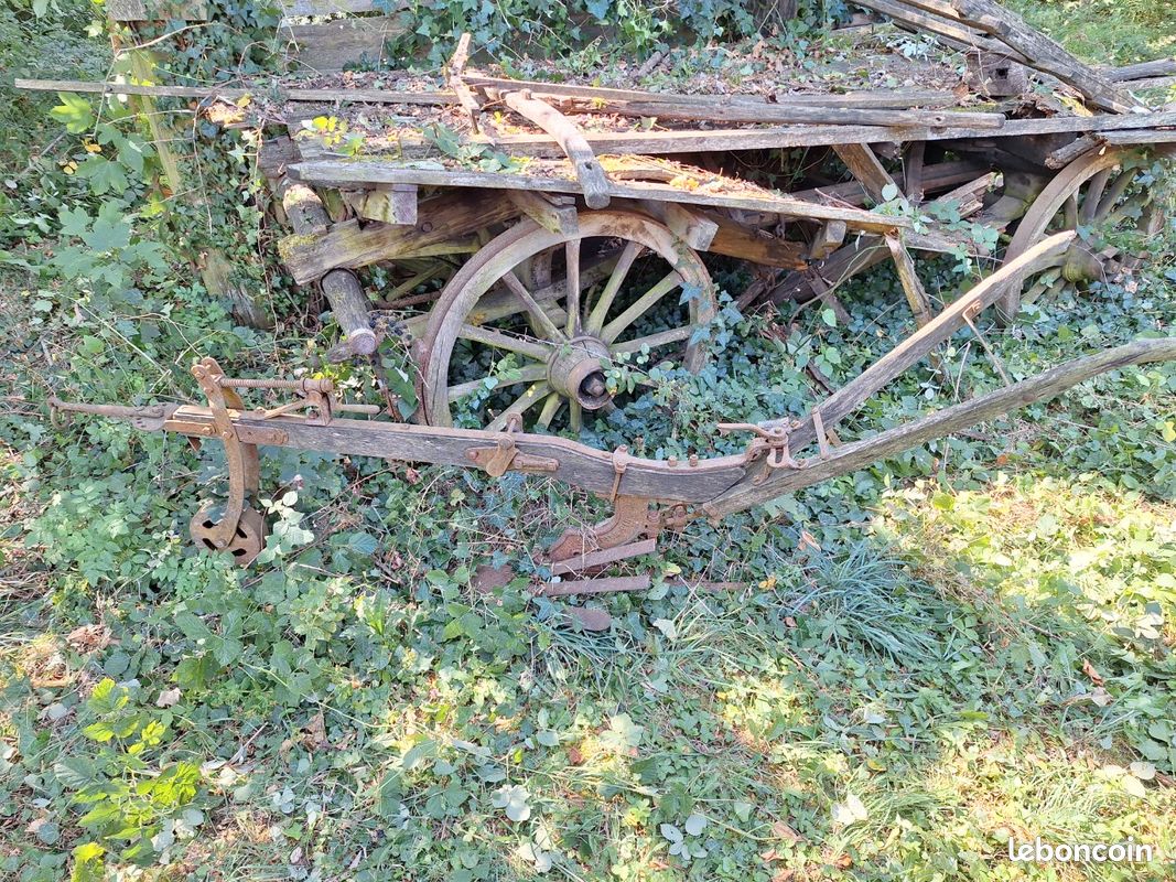 Chariot et charrue anciens (image 2)