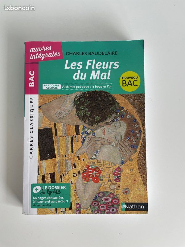 Les fleurs du Mal de Baudelaire (image 1)