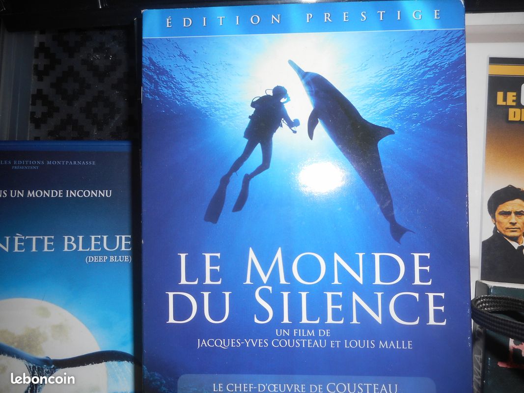 DVD divers (image 4)