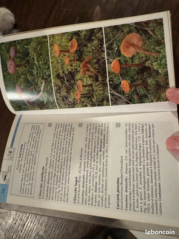 Guide Vigot des champignons (image 4)