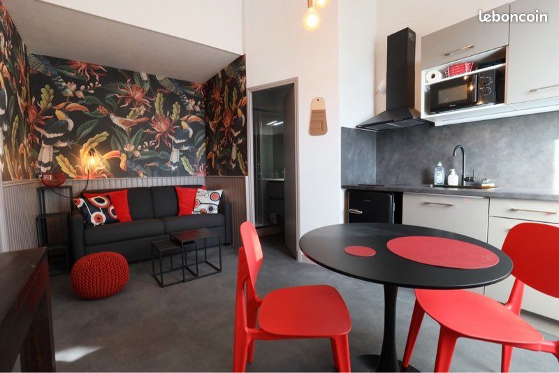 Appartement 1 pièce 15 m² · à Millau · 15,4 m² · 355 €/mois