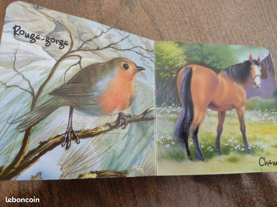Livre enfant "mes amis tout doux" (image 2)