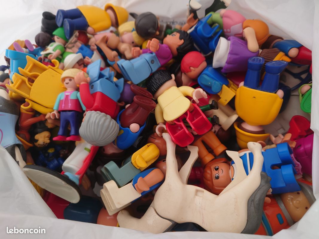 Playmobil l'ensemble (image 1)