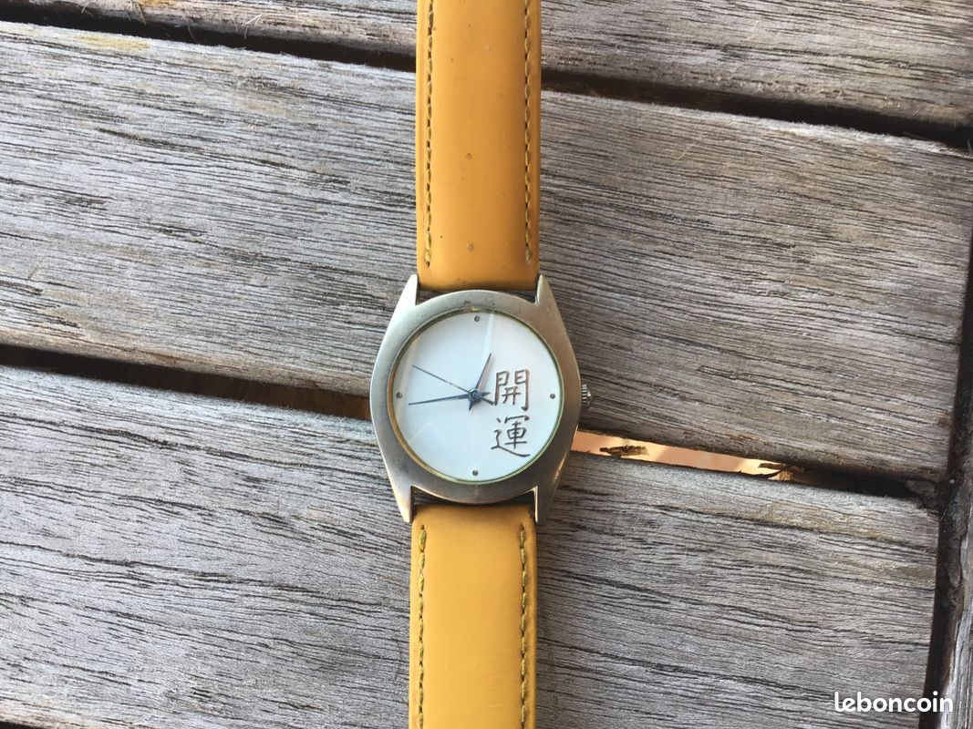 Montre femme chivas (image 1)