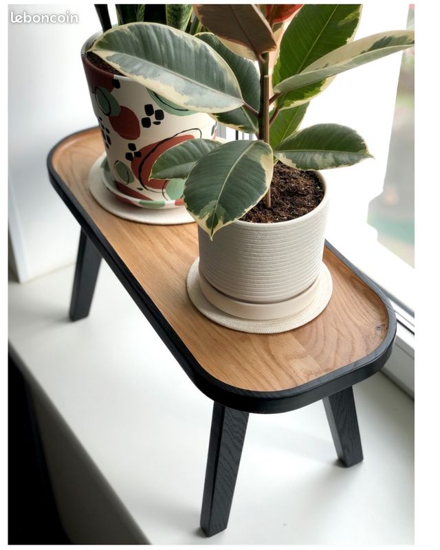 Table basse (image 2)
