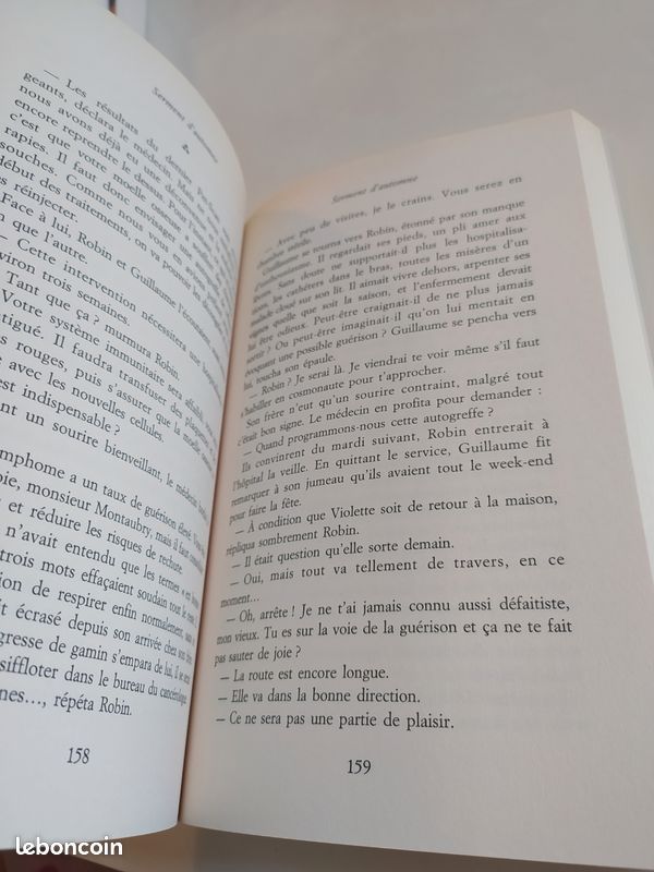 Roman Serment d'automne Françoise Bourdin excellent état (image 4)