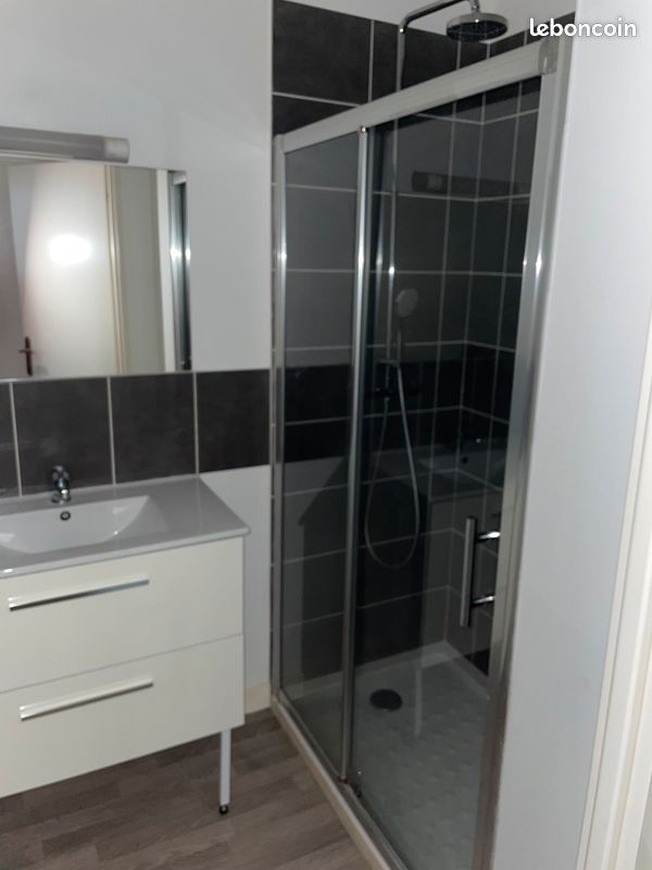 Apparemment T2 rénover à neuf - Limoges 87000 (image principale 0)