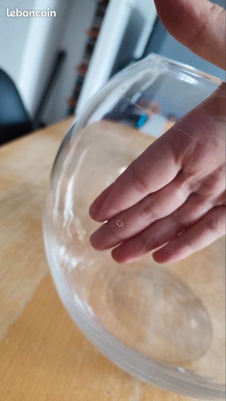 Bocal Poisson ou Décoration (image 4)