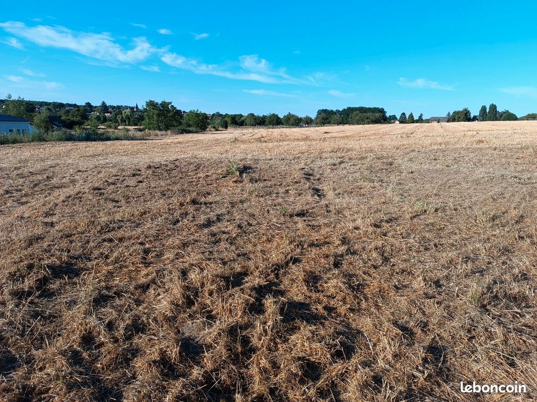 Terrain constructible non viabilisé · à Oizé · 42 000 €