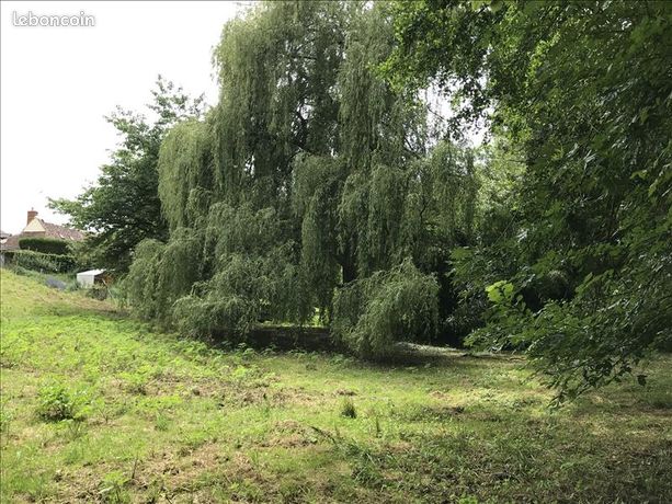 Terrain 3 000 m² Orbigny