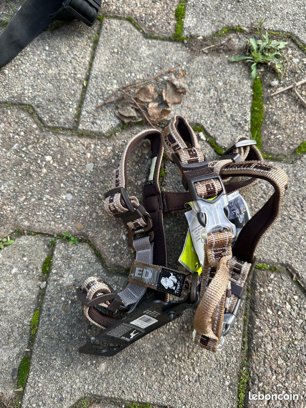 Harnais chien taille S (image 6)