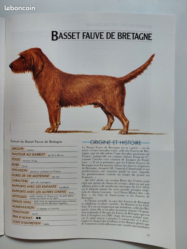 Mon Chien, Mon Ami N°7 Basset bleu de Gascone et Basset fauve de