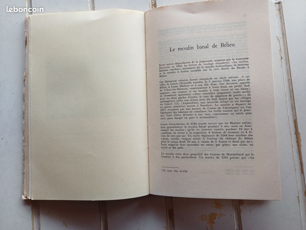 Etude historique et toponymique sur Valentigney (image 5)