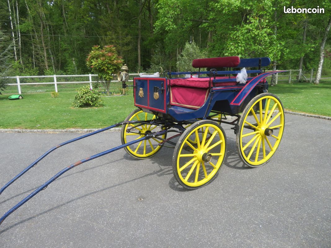 Très belle calèche ou carriole ou tonneau 4 roues achetée à Cheverny (image 10)