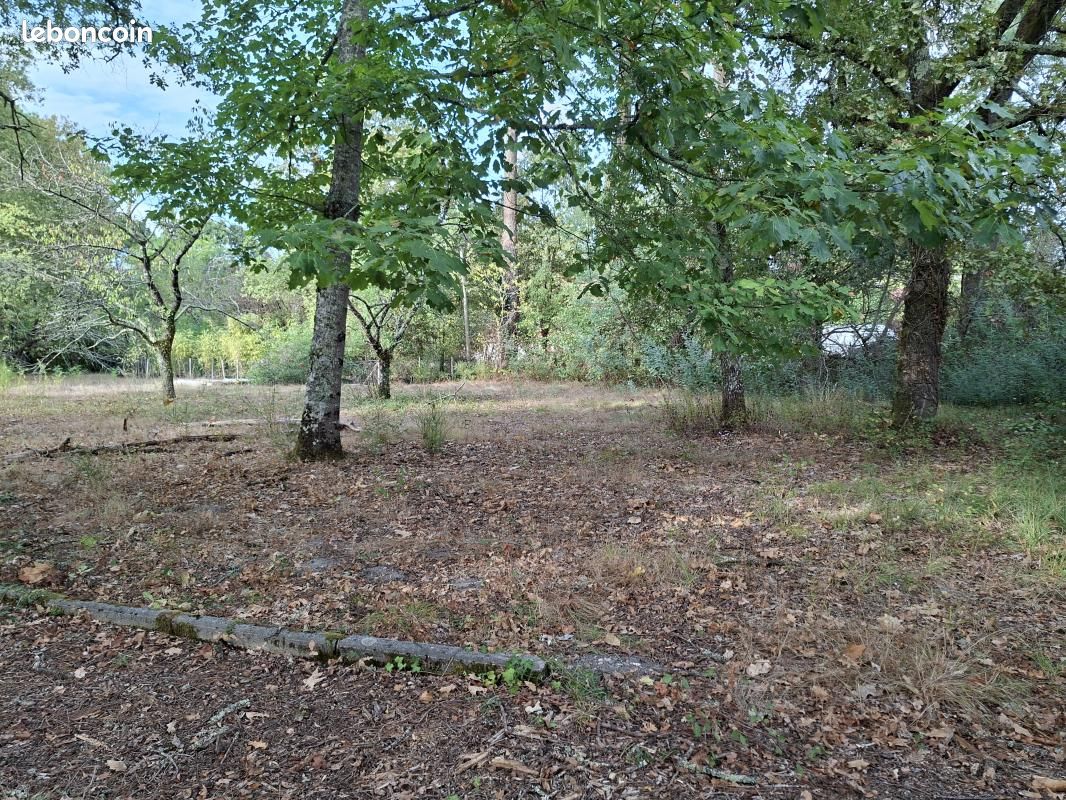 Terrain 700 m² · à Saint-Selve · 128 000 €