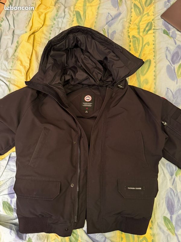 Canada goose (image 12)