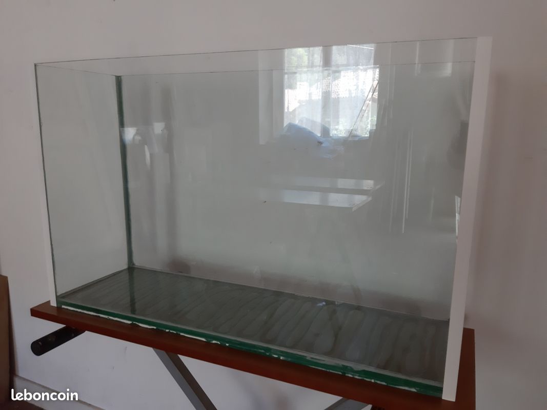 Aquarium ou Terrarium (image 2)