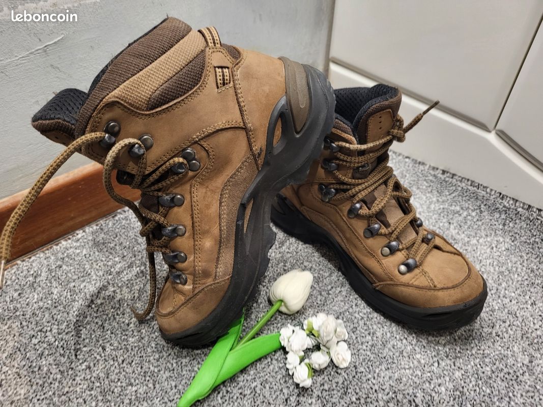 Chaussures Randonnée Lowa Renegade Mid Gore-Tex M - Horizons Nature