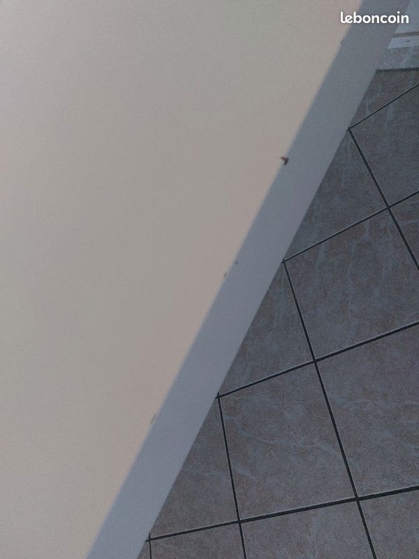 Table de salle à manger blanc laqué pied en bois (image 3)