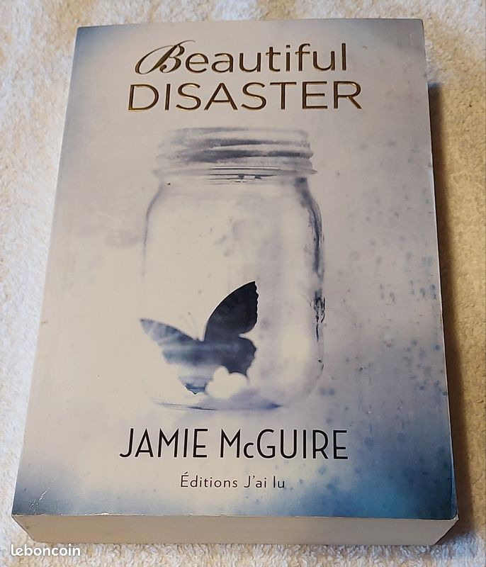 Romans đ Beautiful Disaster Tome 1 (image 1)