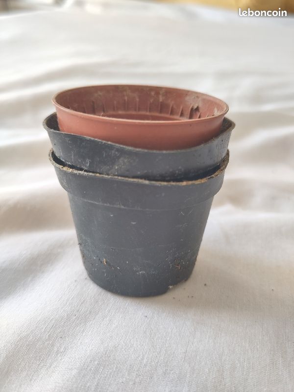 Lot de petits cache pots (image 2)