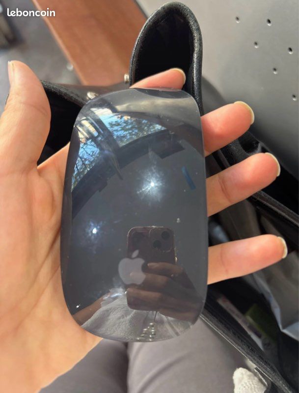 Souris Apple (image 1)