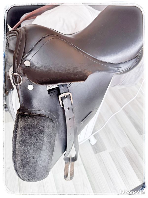 Selle équitation T16 (image 2)