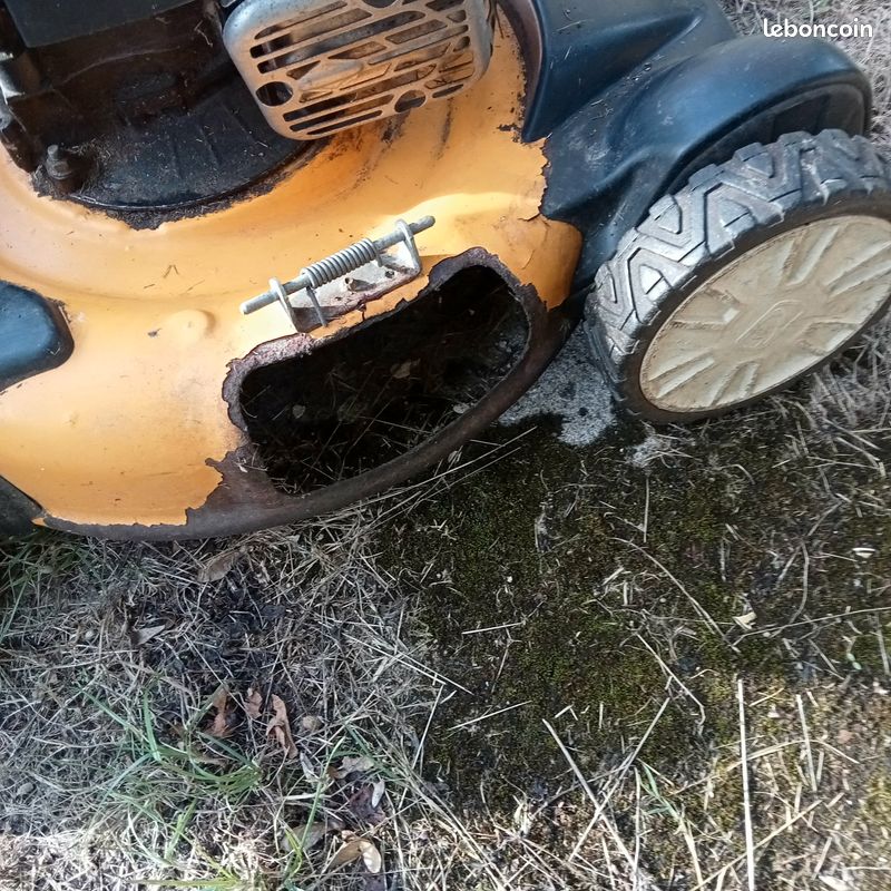 Tondeuse thermique autotractée Cub Cadet – Briggs & Stratton 190 cm³ + bac (image 3)