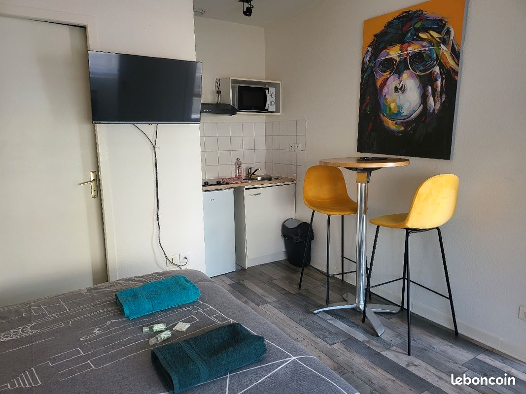 STUDIO d'HENRI Centre Ville d'AGEN (image 5)