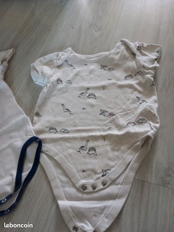 Lot body (image 3)