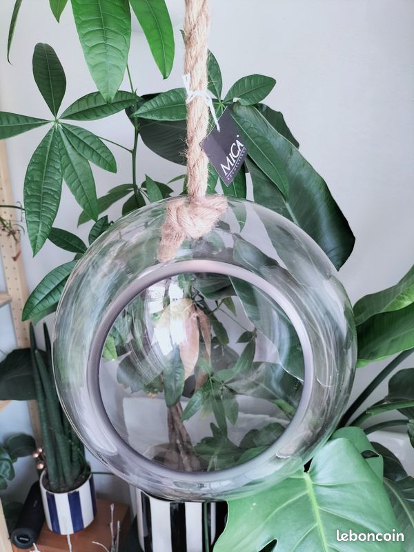 Terrarium sphère à suspendre pour plantes ou décoration intérieure (image 2)