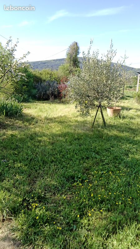Petite maison en pierre en campagne (image 6)