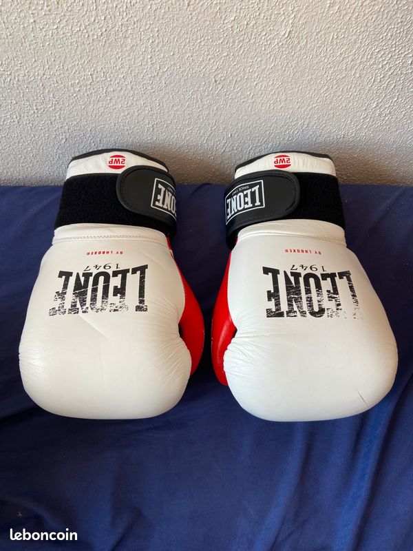 Gant de Boxe Leone Tecnico (image 1)